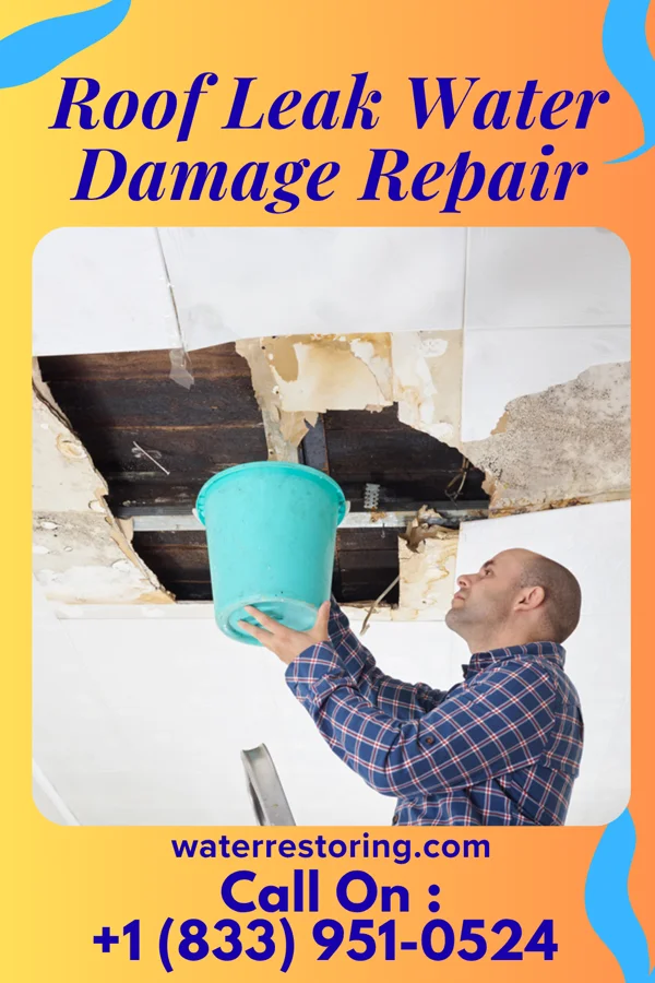 Roof Leak Water Damage Repair in Skidway Lake, MI