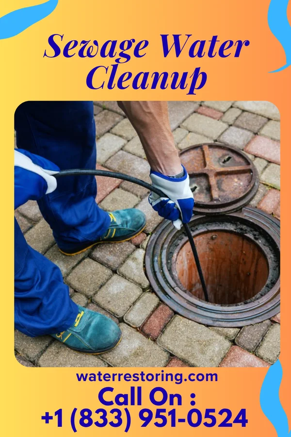 Sewage Water Cleanup in Skidway Lake, MI